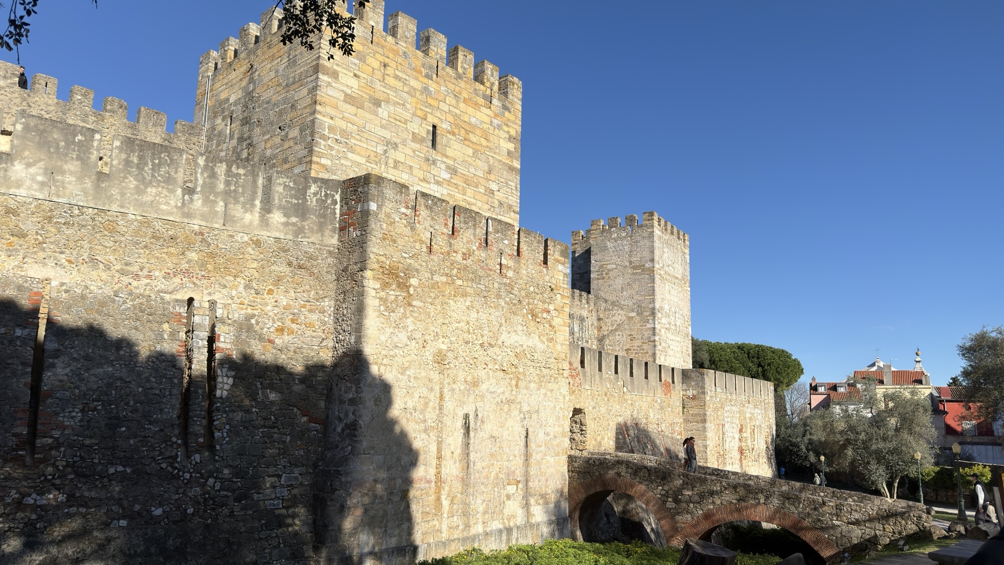 I’m the king of the castle!